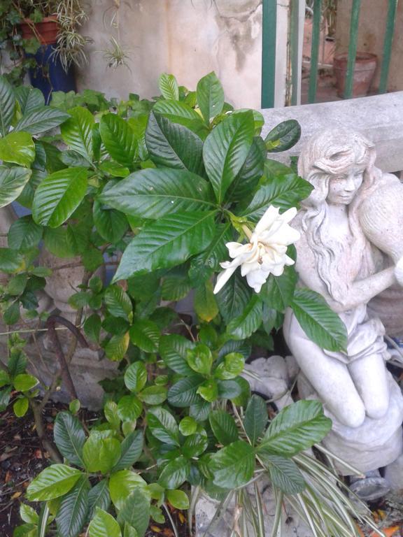 B&B Albatros Lipari  Exteriör bild