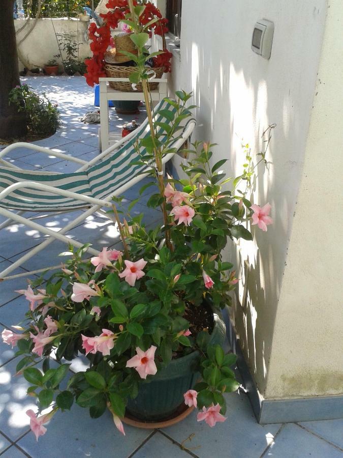 B&B Albatros Lipari  Exteriör bild